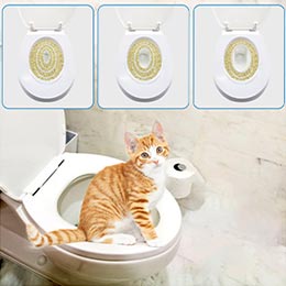 приучить кота к унитазу