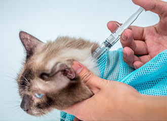 сетка для груминга кошек сетка для груминга кошек