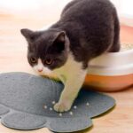 туалетний килимок для котів