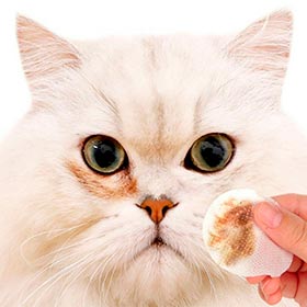 салфетки для глаз кошек