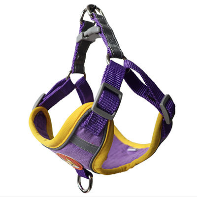 collar_leash3 поводок шлея для собак