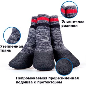 носки собак