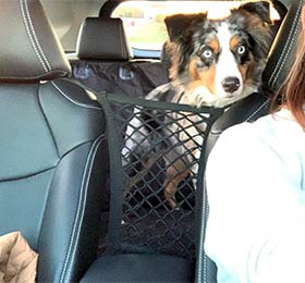 ограничительная сетка для собак в машину