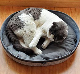 лежак для кота