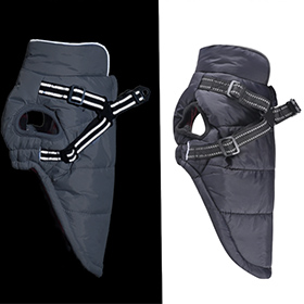 dog_jacketshleya жилетка шлея для собак