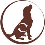 dog_adult_lamb1 happyOne Mediterraneum