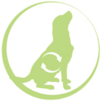 dog_puppy1 happyOne Mediterraneum