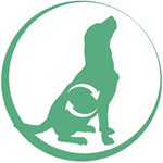 dog_senior1 happyOne Mediterraneum