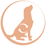 dog_small1 happyOne Mediterraneum