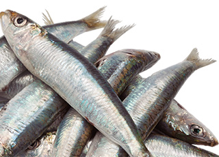 snack_sardina happyOne Premium