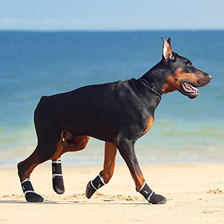 nalap_dogshoes4 обувь собак
