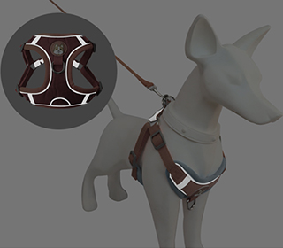 collar_leash1 шлея поводок