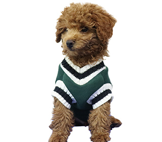 свитер собак