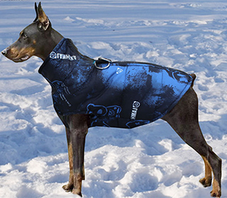 dog_vest-print1 одежда собак