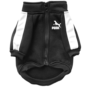 poma1 спортиваня куртка собак