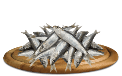 happyone-sardine happyone-sardine