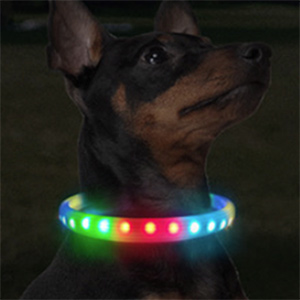 collar_12_6 яркий светящийся ошейник
