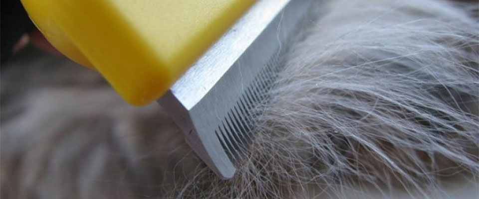 furminator для собак кошек furminator для собак кошек
