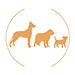 hom_snack_chicken_all_breeds