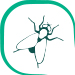 insect protein insect protein