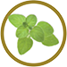 super_snack_oregano