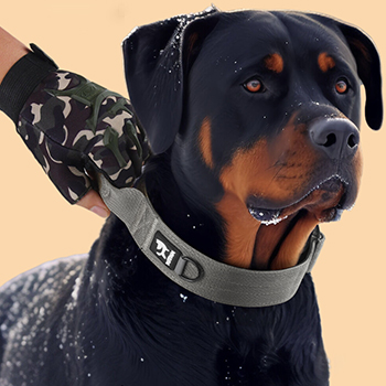 big_collar_1 усиленный ошейник с ручкой для собак
